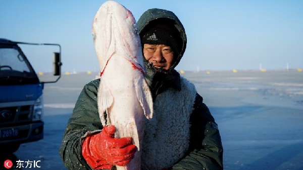 Sightseers catch winter fishing festival