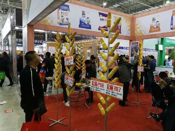 11th Northeast China agricultural expo commences in Changchun