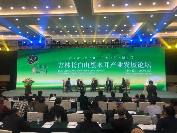'Jilin Changbai Mountain black fungus' recognized as a regional public brand