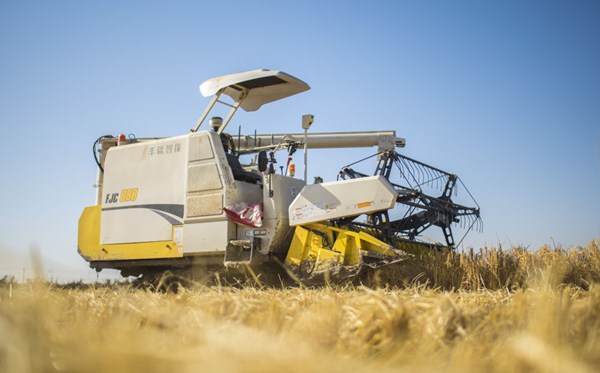 Unmanned rice harvesters utilized in Jilin