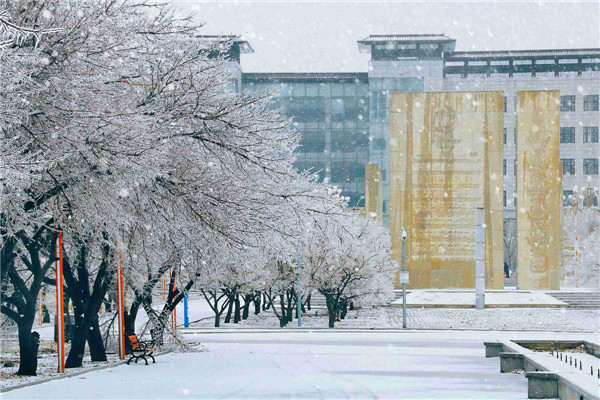 First snow in NE China university campus into winter wonderland