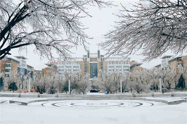 First snow in NE China university campus into winter wonderland
