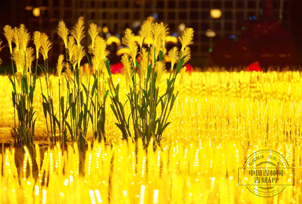 Unforgettable lighting makes Changchun park a must-see