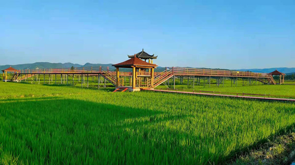 Rice farming, agritourism in Jilin boost villagers' incomes