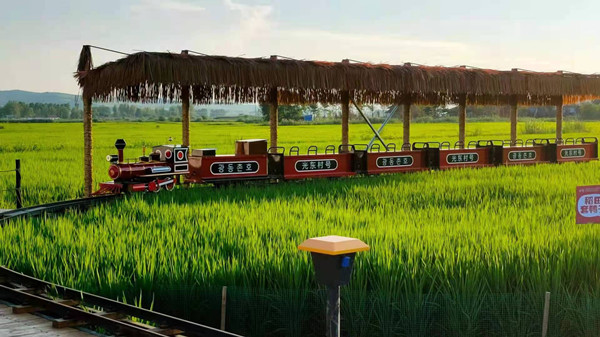 Rice farming, agritourism in Jilin boost villagers' incomes