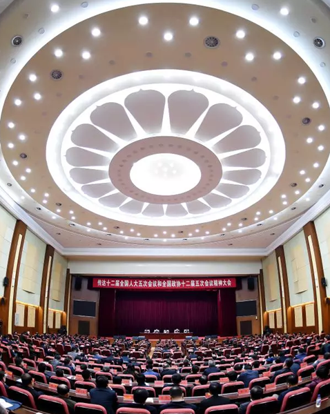 Jilin deputies promote main issues discussed at two sessions